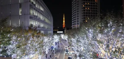 I più bei mercatini di Natale in Asia: tra luci d'Oriente e spirito occidentale